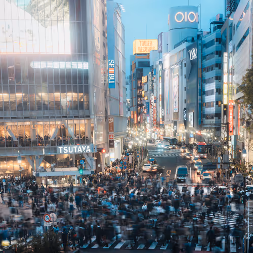 Item #84492978198119788081858584857369630260874381154171846651703266077504685735937 Media