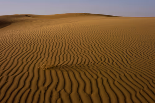 Item #86548725640412939474759328435458413273606034301935223516816389296324794646529 Media