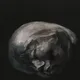94937204006942945136567558939139558777260463322809455984569730632986084245505
