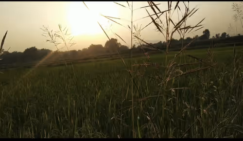 Item #19639212866637923491266492743518133241899401162345393254248405567145957654529 Media