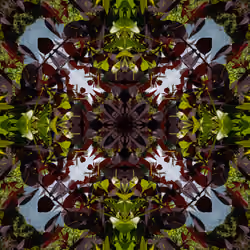 197