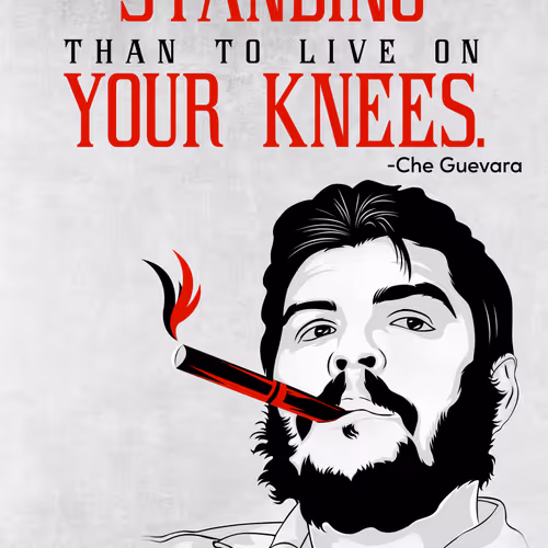 MohamedAslam29 Collection