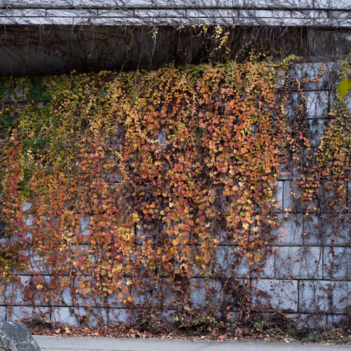 15099377614674255729827518037484709840880486279639044345484425423623089553409