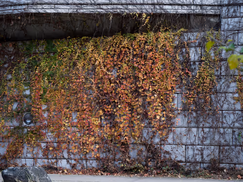 Item #15099377614674255729827518037484709840880486279639044345484425423623089553409 Media