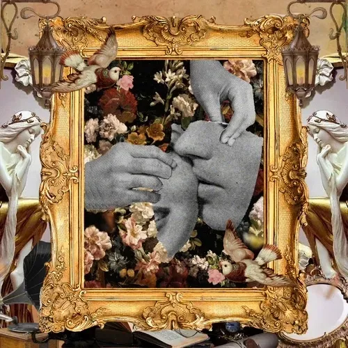 collagexzxz