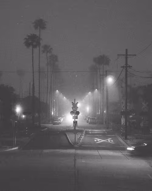 Item #109035602226808003781190119812646007383870584685532442463381146999666147065857 Media