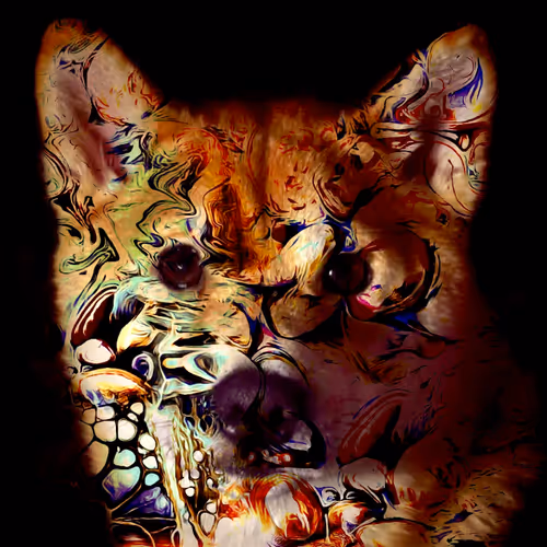 Shiba 1