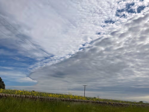 Item #2598078292416912400154953852394459455352010003858610416110553714357956509697 Media