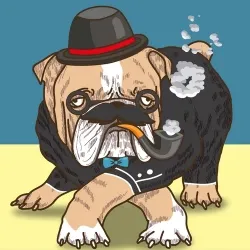 bulldog animated gif #1 