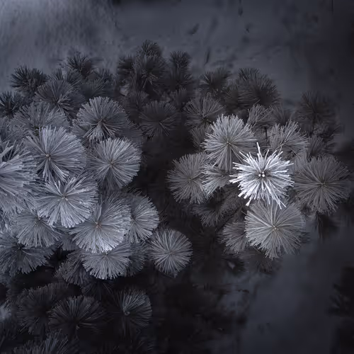 Item #55396979496544417469792883121952566872796951856674190010796140013754234437633 Media