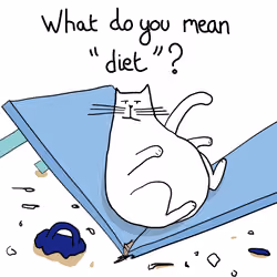I'm not fat