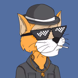 The Crazy Cat Club #0624