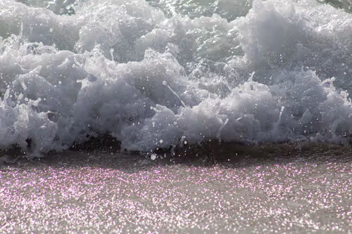 Item #110563264937173630415102547684714144673786021135482478862181301882315603968001 Media