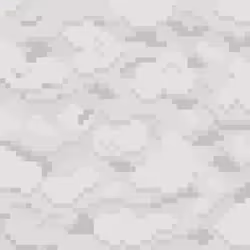 54592082719803053098543928044698800442533756316367598168258737081471884853249