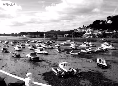 Item #38469634544055033107875817042936200122827226354642332037558817925002768154629 Media