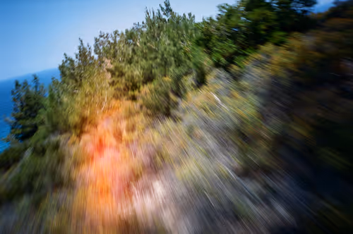 Item #38495668349306452240688866721683925223246116077147746545727998320562141134948 Media