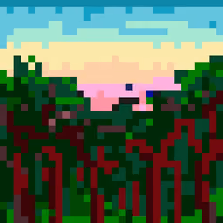 Dawn in jungle #0089