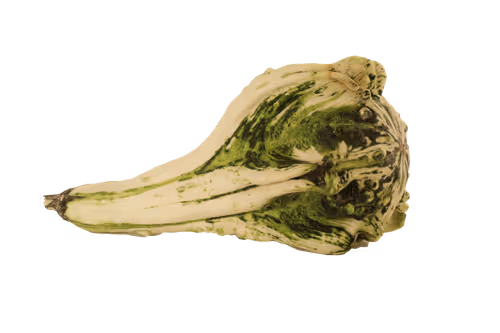 Item #35733408950682889513496686103591328439267245450055177033221291802131672596481 Media