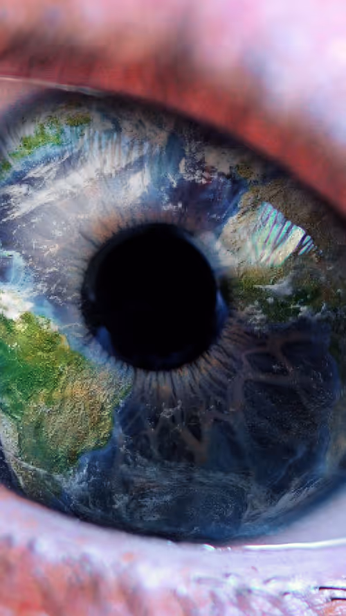 Item #115516276372689933958648175848351689217173528906279783030818010894632375812097 Media