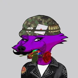 Cunning Fox 3804