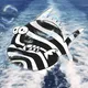 Zebra Fish #11