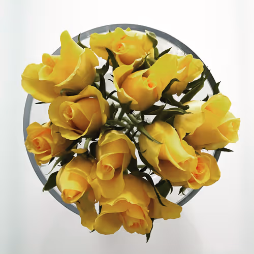 Item #1016150161625918192633671563975848473053404478538428690861967374724414570497 Media