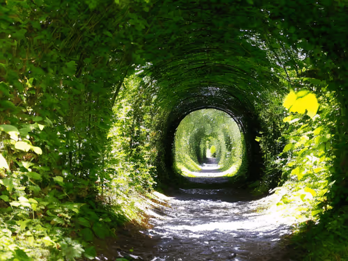 Item #17639747846666091850070018132946332522399002875677863989985373637707145674753 Media