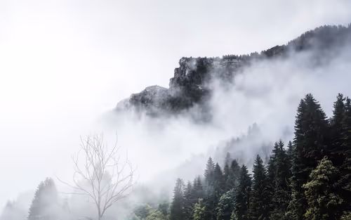 Item #13530196008563854885734701645489239893445931623828964503452581738904773722113 Media