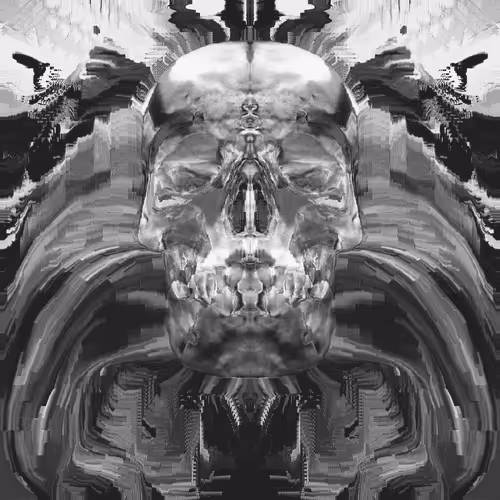 Letsglitchit Collection