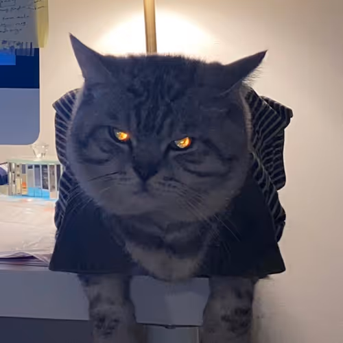 Bufficat