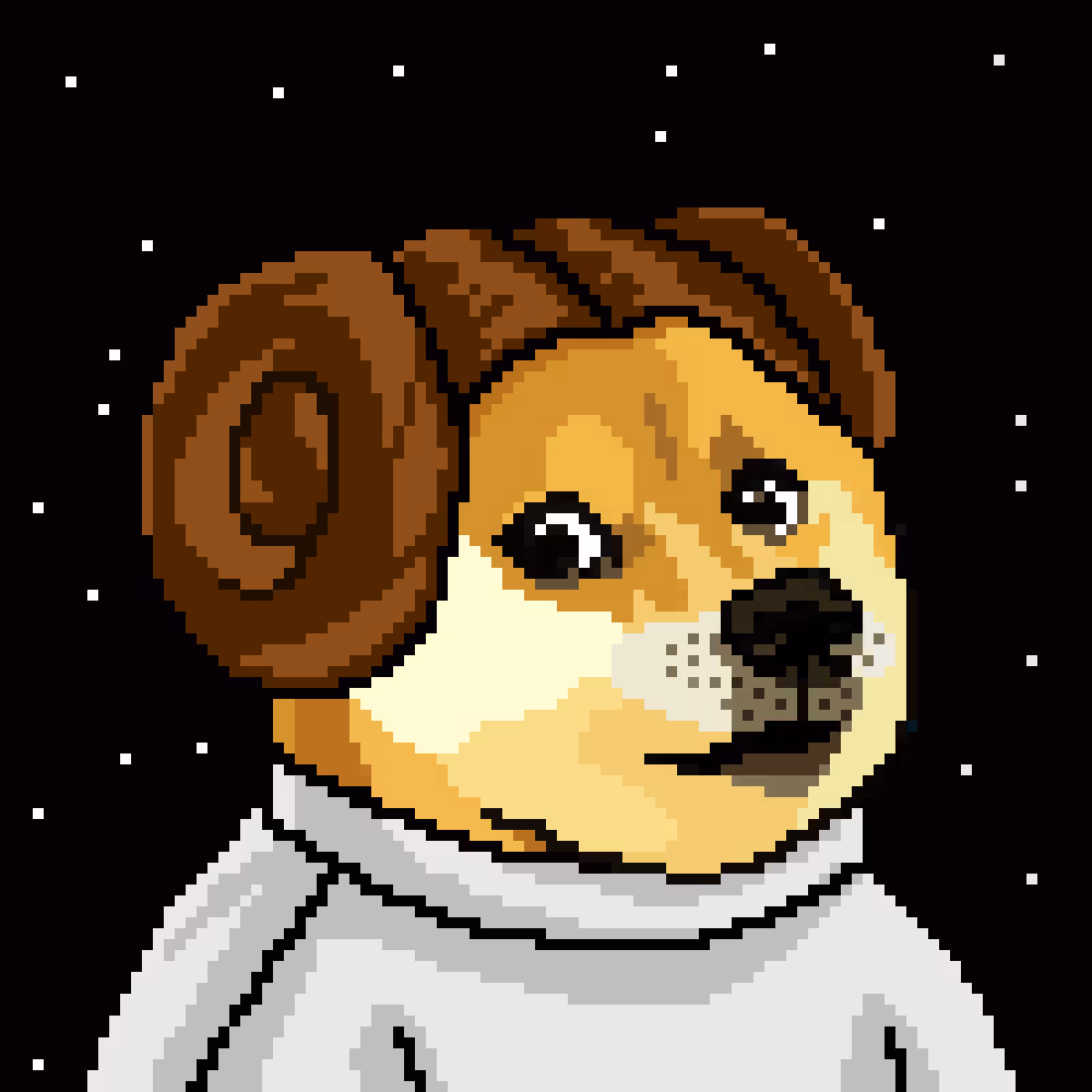 Dogepunks #102 - Princess Doge Organa