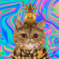 63588752515642770477067191287288803913526852218898202821012584694684944695297