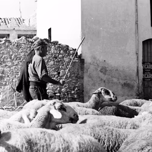 103869953884735727563221393256320645863605690120870363676987596955477379907585