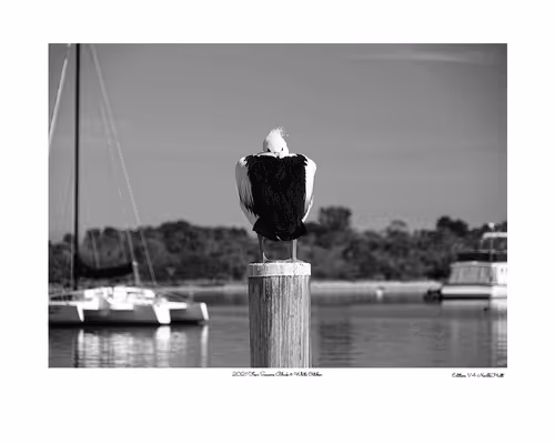 Item #24600310660482288606297797528155087939323639147399647196853483688619283578881 Media