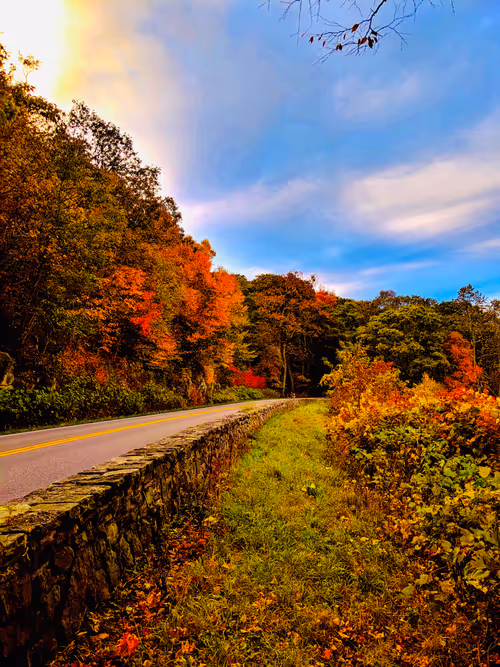 Item #17710578745472628747552778800271337984973661188052618818163373323420447014913 Media