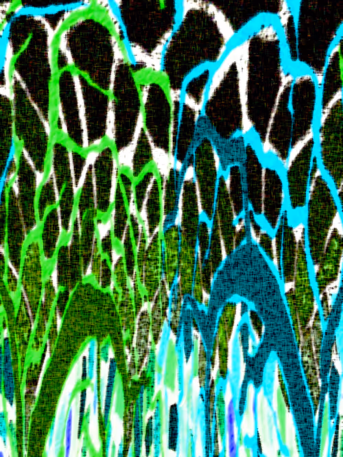 Item #115354016198784602504913201642553345847924981366418556428971122761288885731329 Media