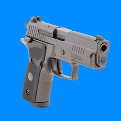 Sig 229