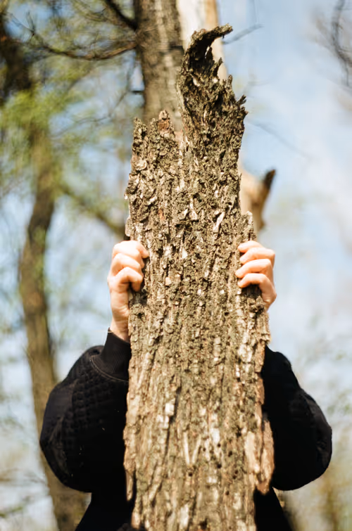 Item #80429871025811185059637884652673309792751753756700706488218533710450414059521 Media