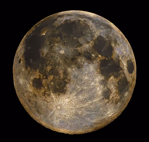 Item #25737205233202205841191093152961627749975097154724822369935108378011403026433 Media