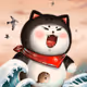Cat war