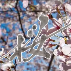 #5 桜〜SAKURA〜