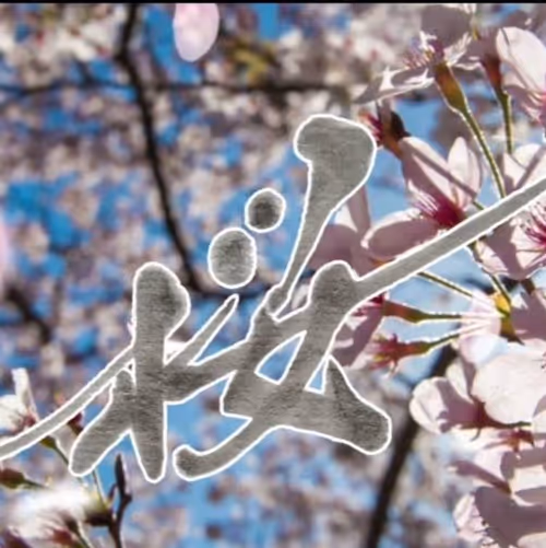 Item #112070197827881250176137186251009553349180571397994533661469149504333684932609 Media