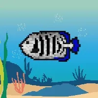 Etherfishing