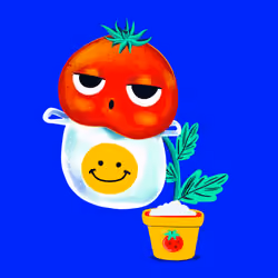 Baby tomato #005