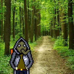 stalker in the woods #9