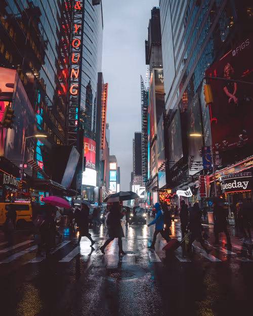 Item #72803698633773711852134543118695922720776543694315395130363623412571167522817 Media