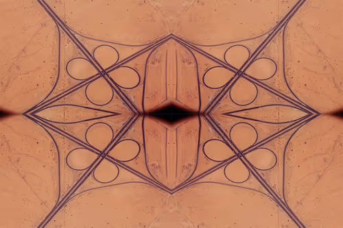 Item #26643604797518204849163684509357989170252701494648665154724968739316969766913 Media