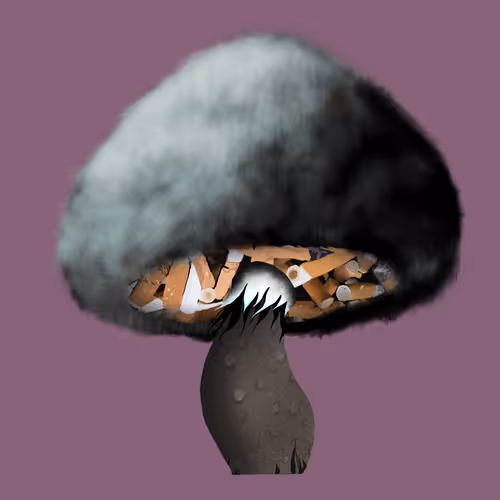 Item #46034849265832991985054005845495595569977159826723230396281256642087934230529 Media