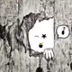 114620255524216971062882748622635072094421651242065714237827674714256839802881