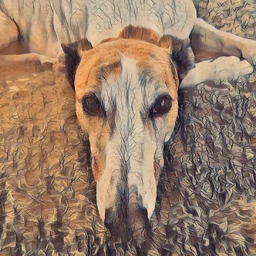 Item #113233535435930126246803406212525192330824104616936385021501681202312037531649 Media